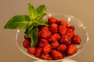 fragoline di bosco di Nemi - a Trastevere da fragoline di bosco di Nemi nel ristorante bruno alla lungaretta